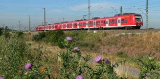 Regionaler Schienenverkehr: Neue Verbindungen und optimierte Anschlüsse 