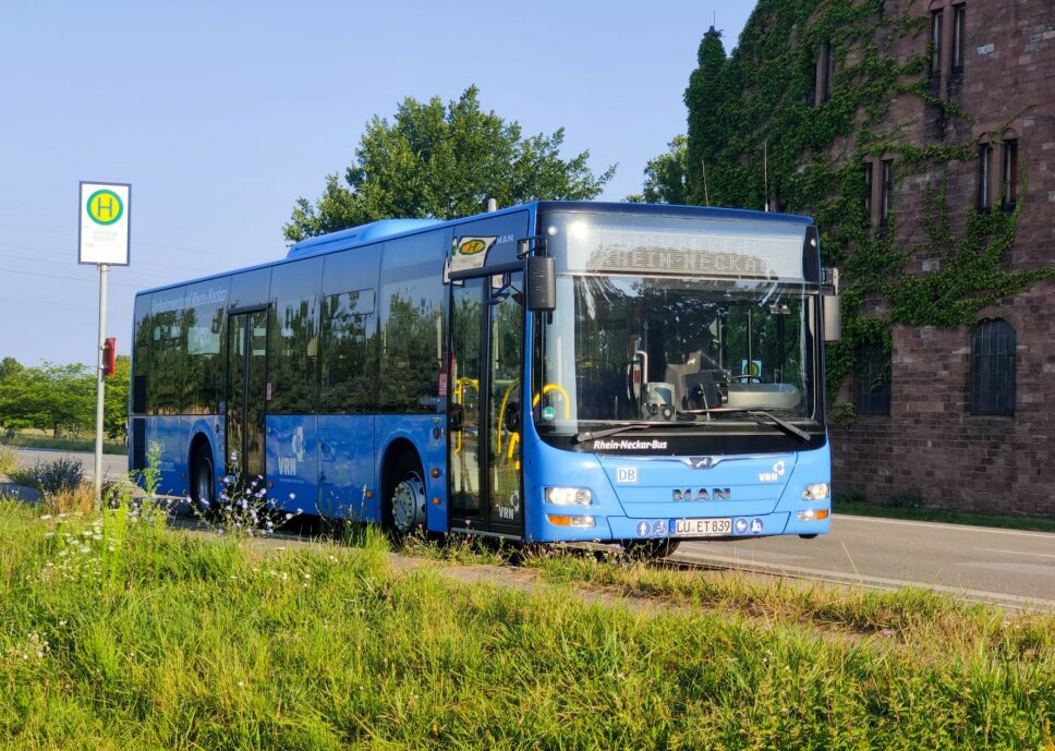 31-25 Landesfesttage Weinheim Vrn Bietet Umfangreichen Zusatzverkehr Copyright Brn Gmbh